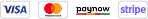 Visa, Mastercard, Paynow, Stripe