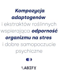 kompozycja adaptogenów zastosowanie