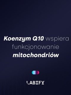 koenzym q10
