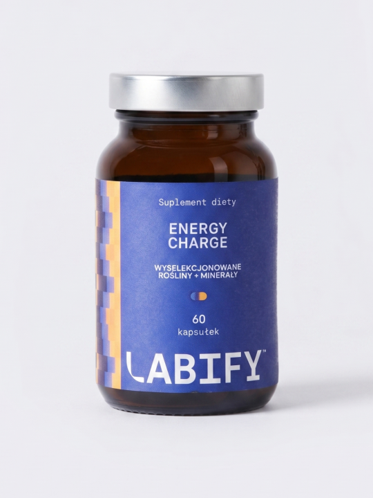 Energy Charge