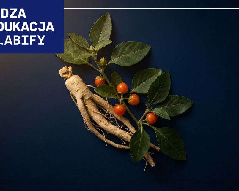 Ashwagandha – co to jest, jakie ma właściwości i na co pomaga?