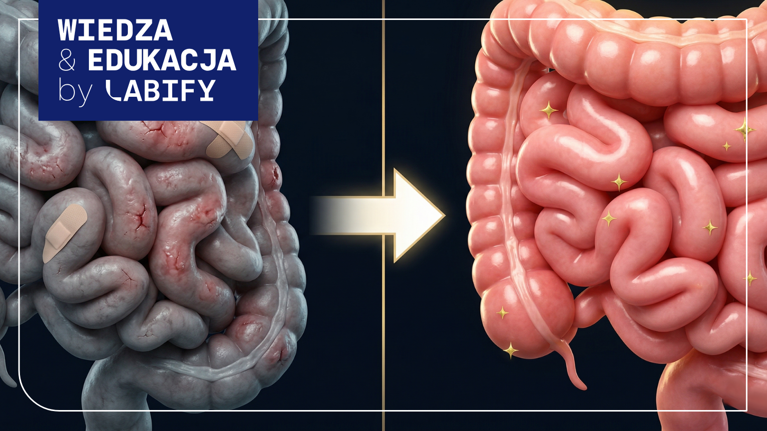mikrobiota jelitowa