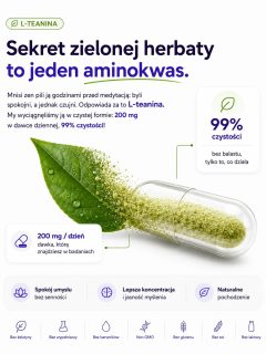 L-Teanina MONO — 200 mg dziennie, 99% czystości, ekstrakt z liścia zielonej herbaty w kapsułce